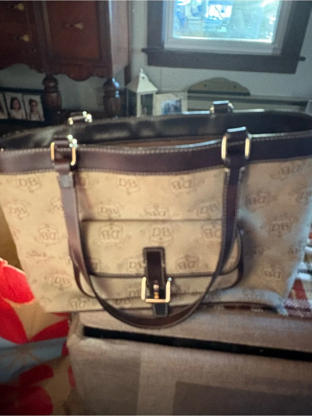 Dooney & Bourke leather exterior